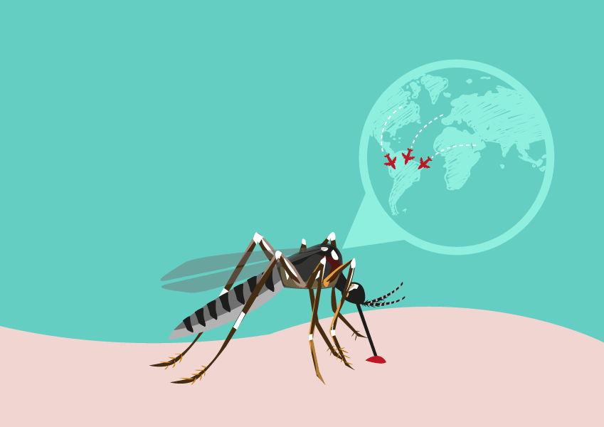Mosquito
